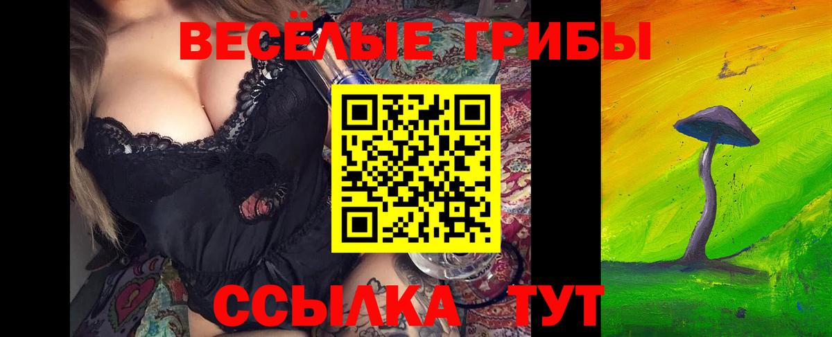 Зеленокумск  Галлюциногенные грибы Psilocybe  Вход с VPN 
